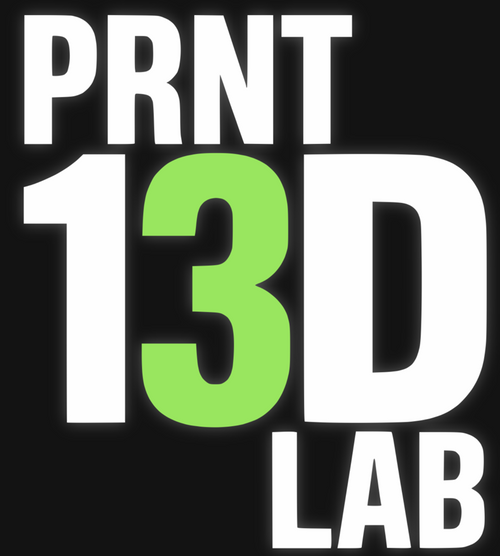 Prnt13DLab